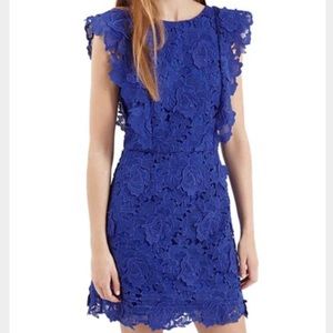 Topshop cobalt blue scalloped lace dress